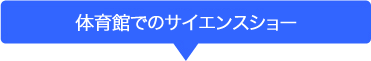 体育館でのサイエンスショー