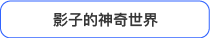 影の不思議な世界